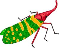 L_fly.wmf