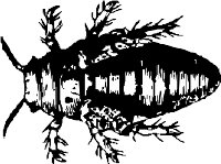 INSEC037.WMF
