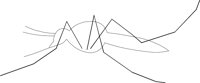 INSEC018.WMF