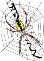 G_spider.wmf