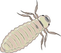 GLOWWORM.WMF