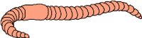 CS000434.WMF