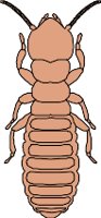 CS000428.WMF