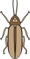 CS000415.WMF