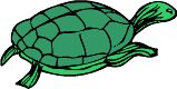 turtle1.WMF