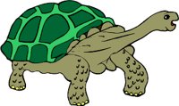 turtle01.WMF