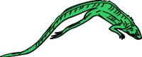 lizard2.WMF