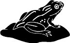 frog3.WMF