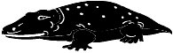 crocodil.WMF