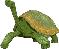 Tortoi2.wmf
