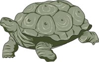 TORTOISE.WMF