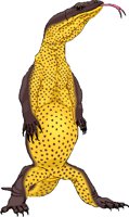 LIZARD.WMF