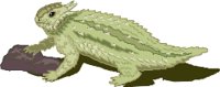 HORNTOAD.WMF