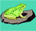 FROGO.WMF