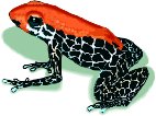 FROG.WMF
