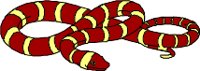 CS000344.WMF