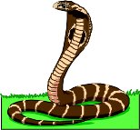 COBRA.WMF