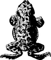 CC000555.WMF