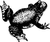 CC000554.WMF