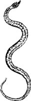 CC000550.WMF