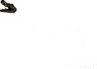 CAA0268.WMF