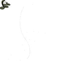 CAA0219.WMF