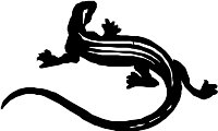 AG000624.WMF