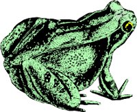 AG000011.WMF