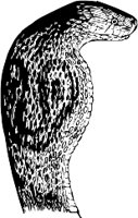 AG000005.WMF