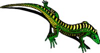 AA01112A.WMF