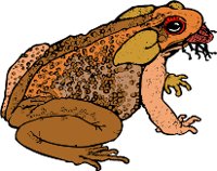 AA01034A.WMF