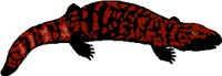 01LIZARD.WMF