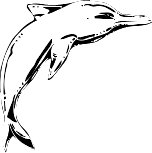 Dolphn44.WMF