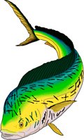 Dolphin5.wmf