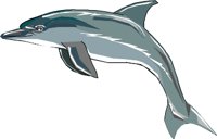 DOLPHIN3.WMF