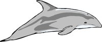 DOLPHIN2.WMF