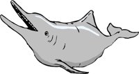 DOLPHIN.WMF