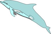 DELPHIN.WMF