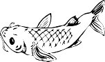 Catfish4.WMF