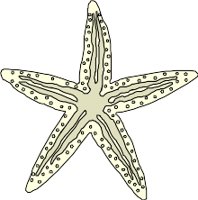CS000320.WMF