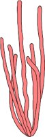 CS000318.WMF
