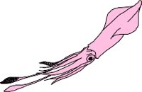 CS000312.WMF