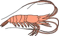 CS000311.WMF