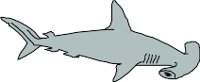 CS000310.WMF