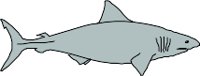 CS000309.WMF