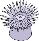 CS000306.WMF