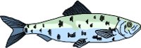 CS000289.WMF