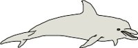 CS000282.WMF