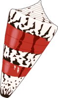CONE.WMF