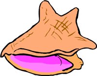 CONCH.WMF